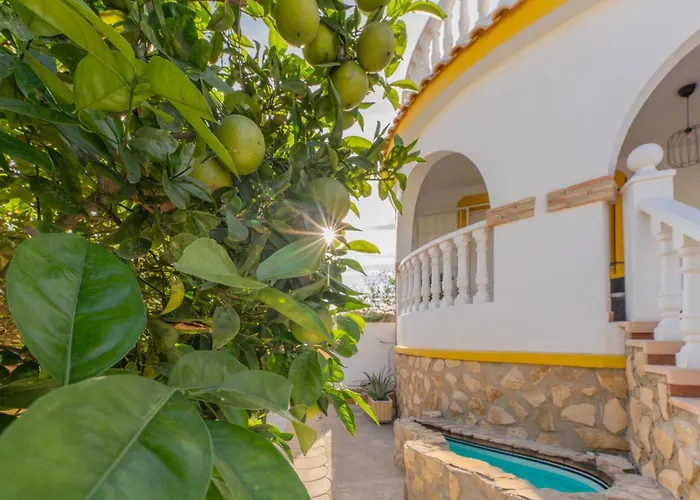 Dr Alejandro Iglesias Casa de Férias Gran Alacant